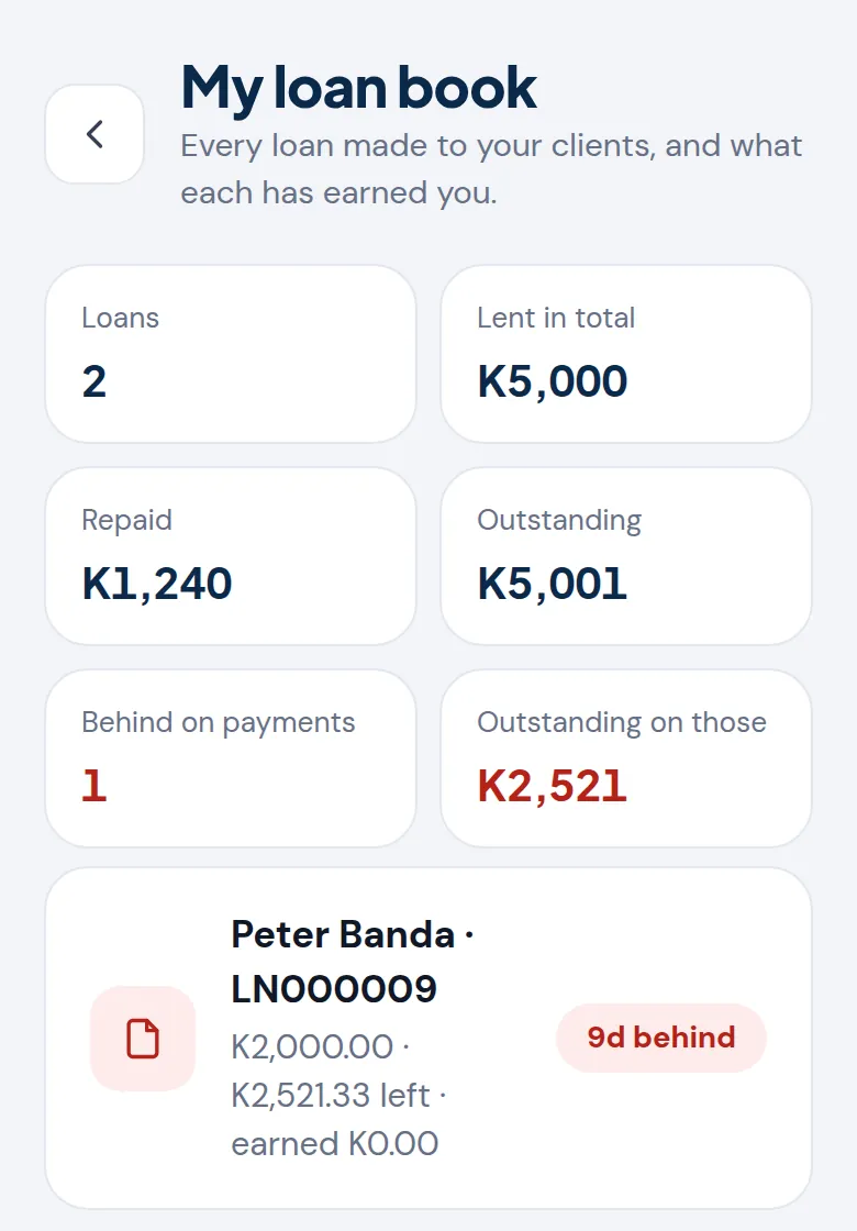 The agent's loan book totals and loans